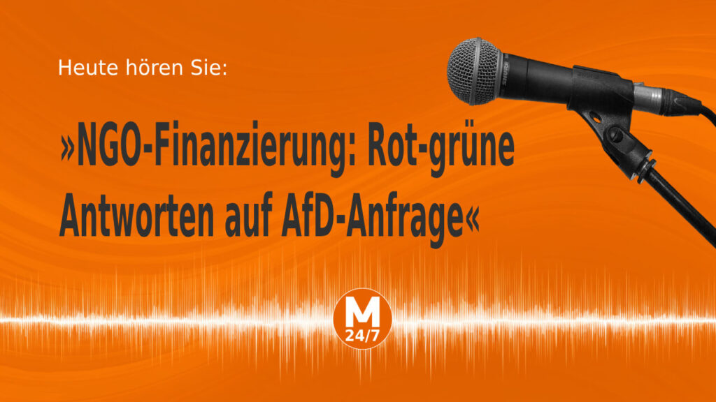 NGO-Finanzierung - Rot-grüne Antworten auf AfD-Anfrage